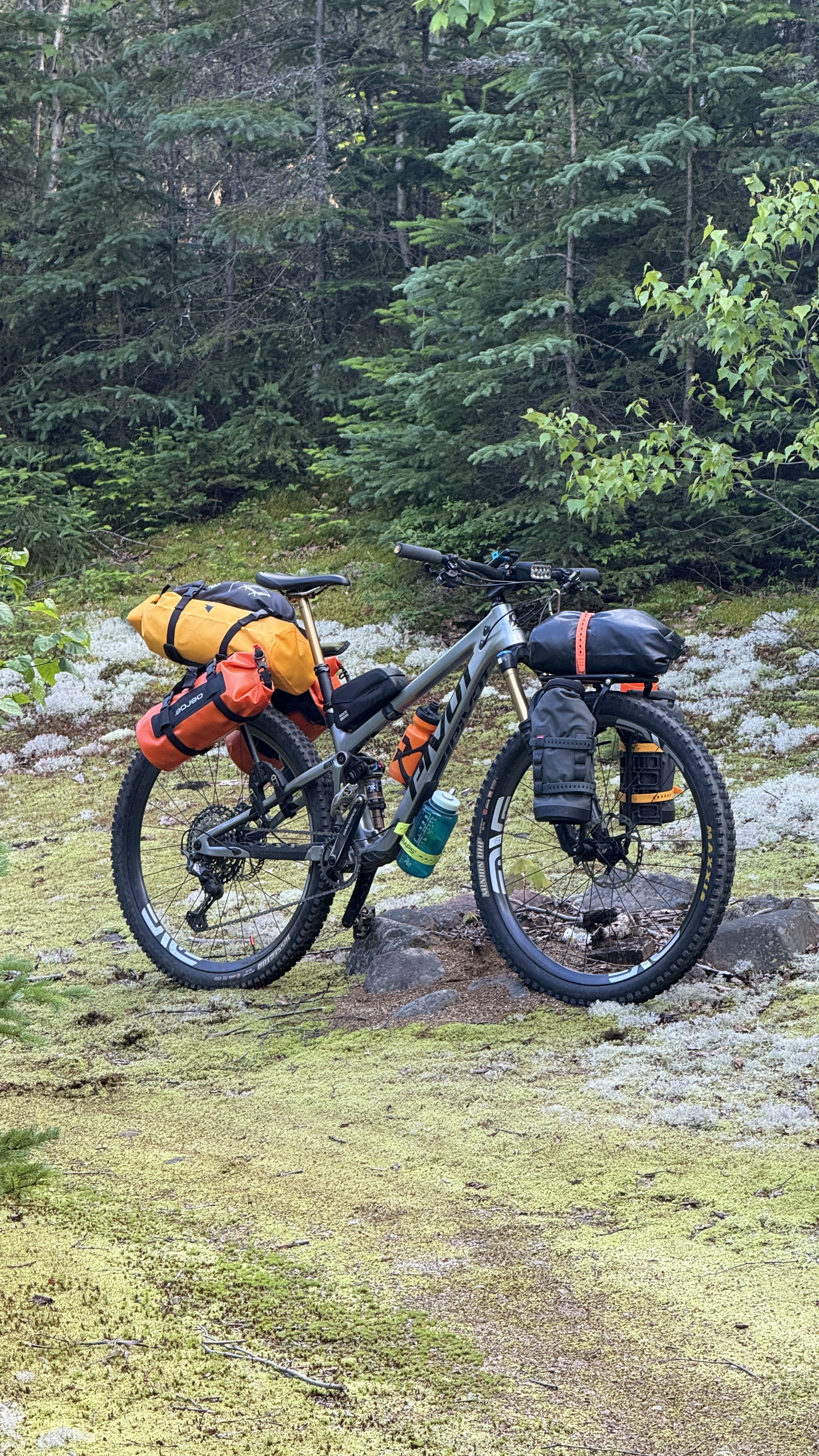 Vélo chargé de sacoches de bikepacking dans la forêt